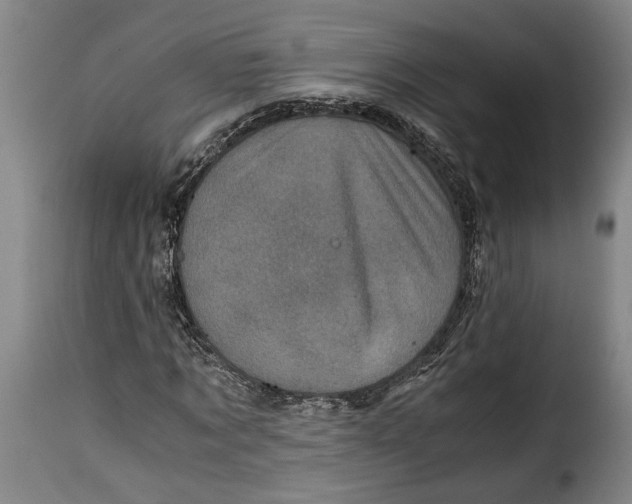 X0000115370869200911241238