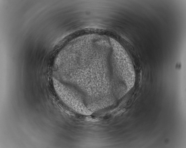 X0000115370870200911241238