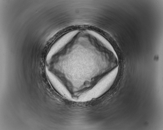 X0000115370871200911241238