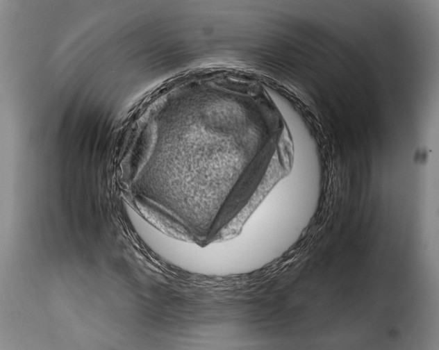 X0000115370872200911241238
