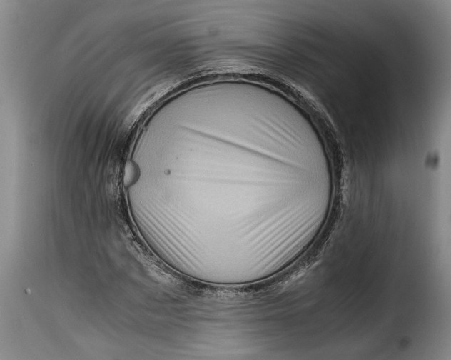 X0000115370873200911241238