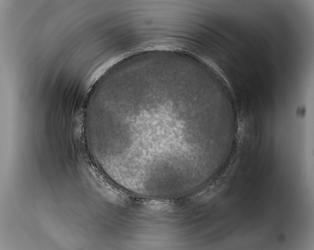 X0000115370874200911241238