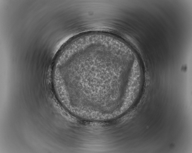 X0000115370875200911241238