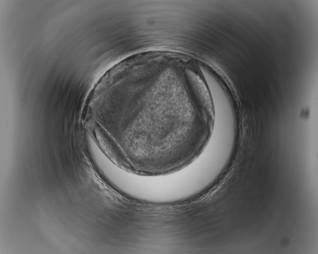 X0000115370876200911241238
