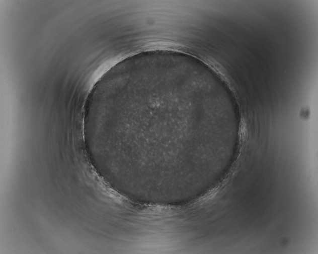 X0000115370877200911241238