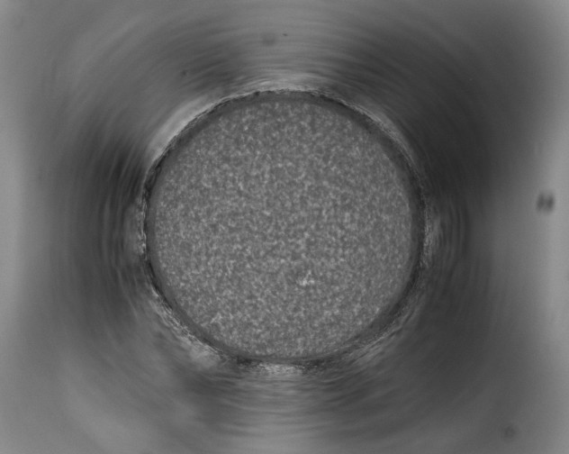 X0000115370878200911241238