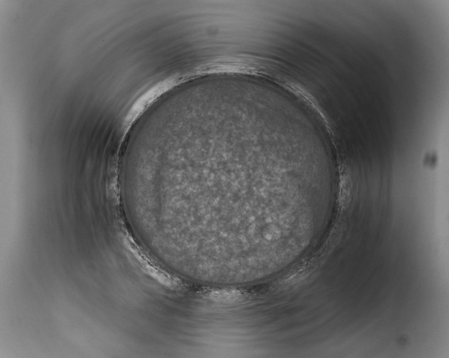 X0000115370882200911241238