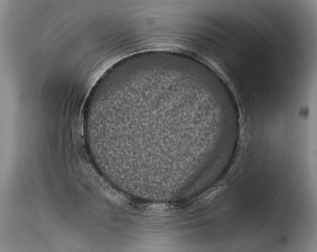 X0000115370883200911241238