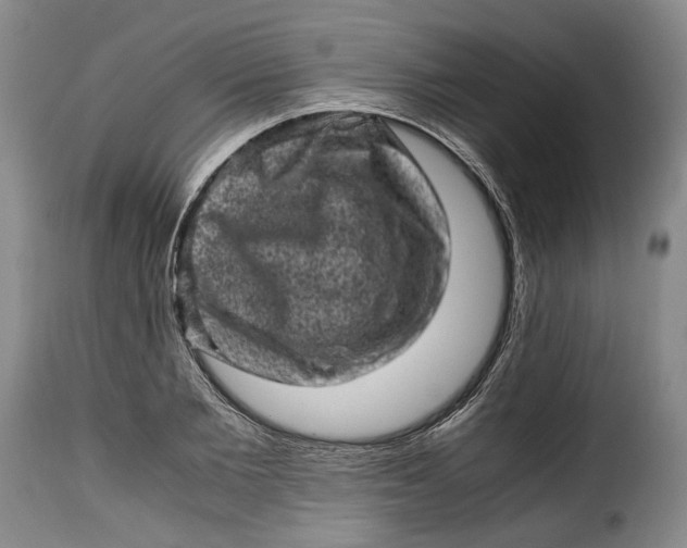 X0000115370885200911241238