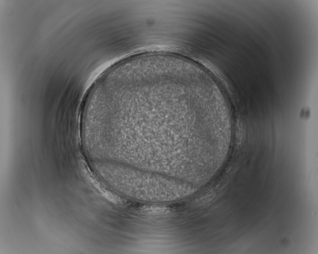 X0000115370886200911241238
