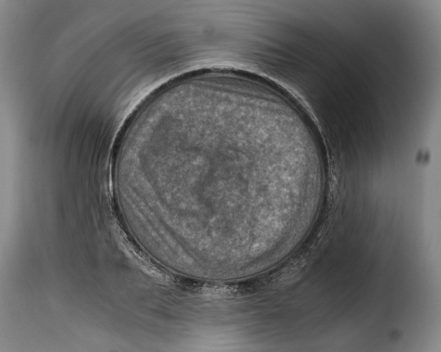 X0000115370887200911241238