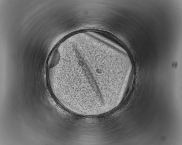 X0000115370888200911241238