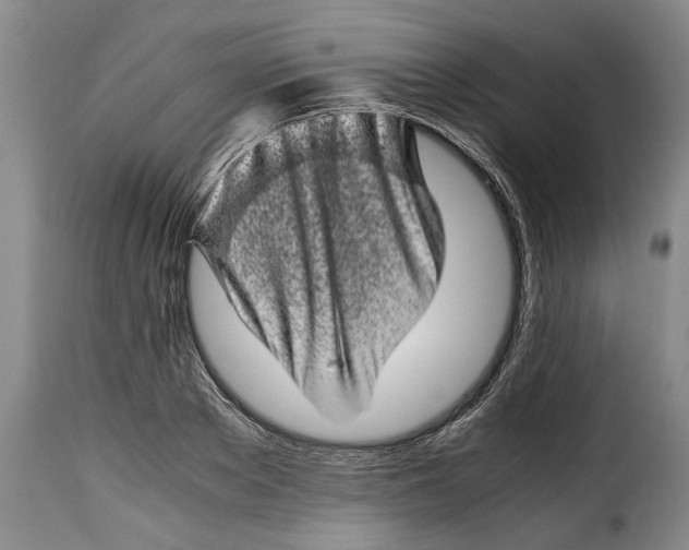 X0000115370889200911241238