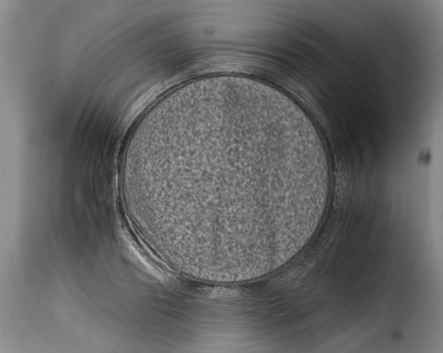 X0000115370890200911241237