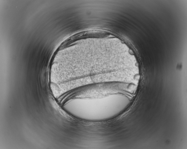 X0000115370892200911241237