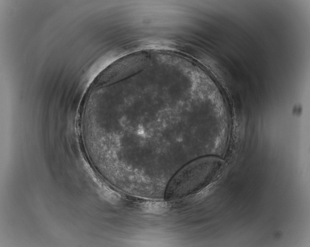 X0000115370893200911241237