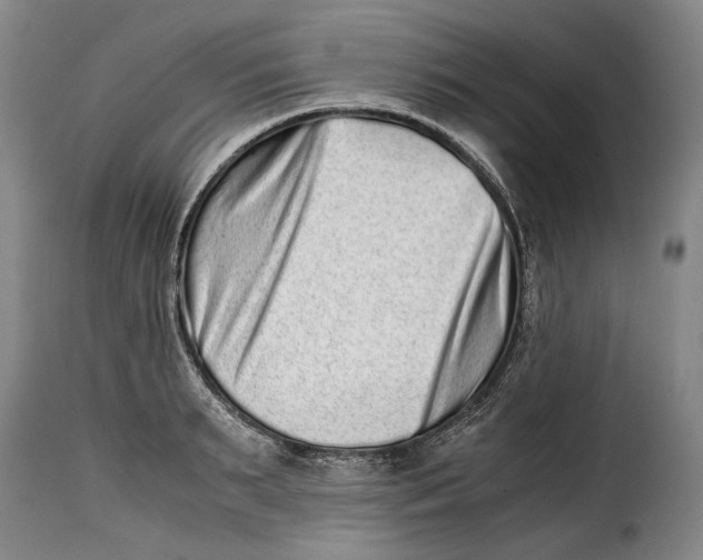 X0000115370895200911241237