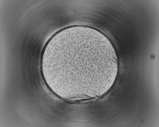 X0000115370896200911241237