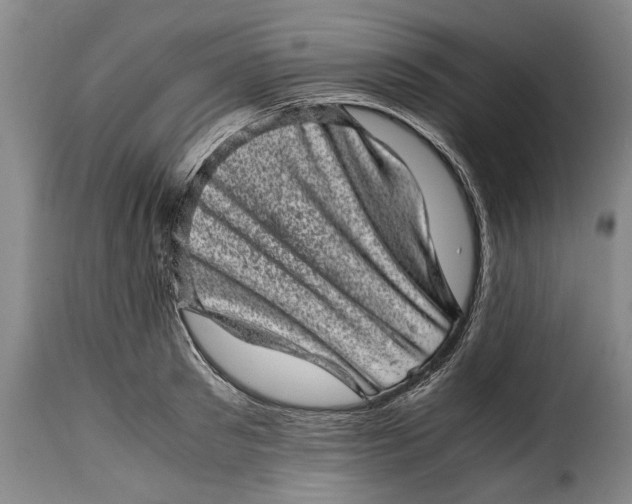 X0000115370897200911241237