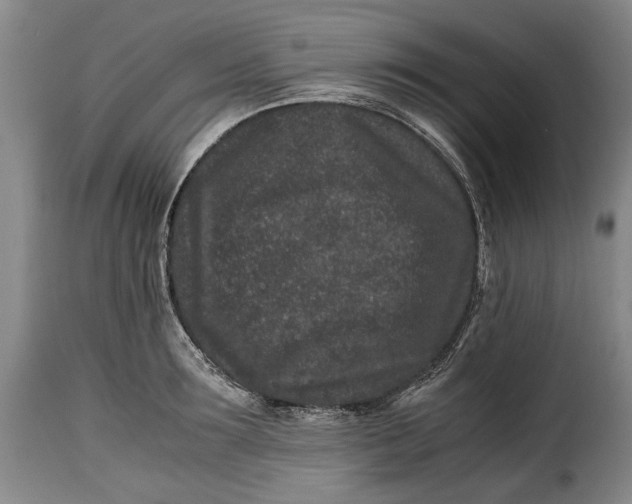 X0000115370899200911241237