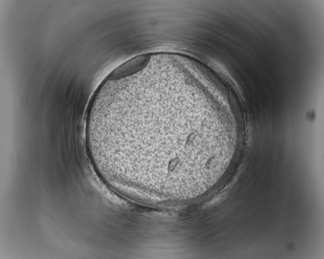 X0000115370900200911241237