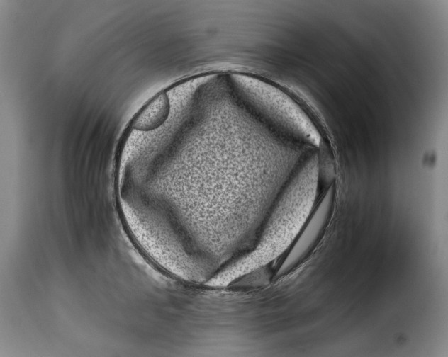 X0000115370902200911241237