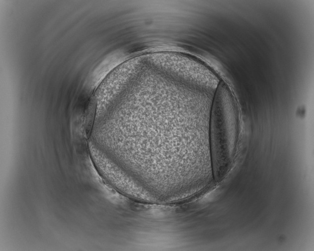 X0000115370905200911241237