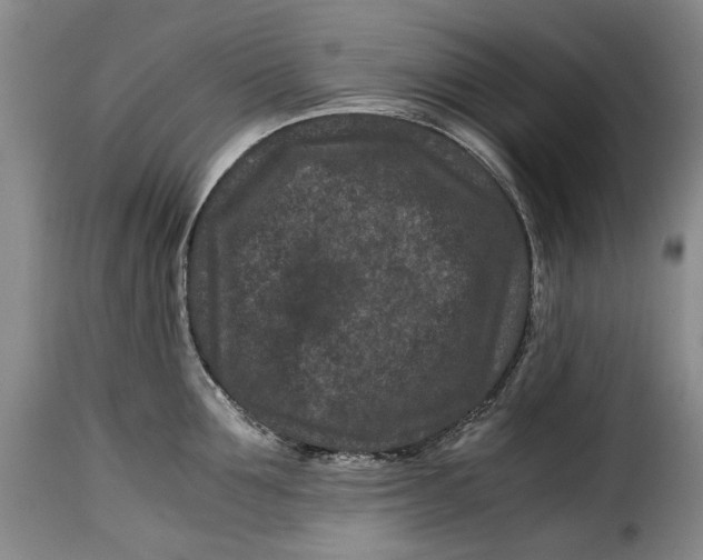 X0000115370907200911241237