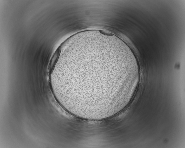 X0000115370908200911241237