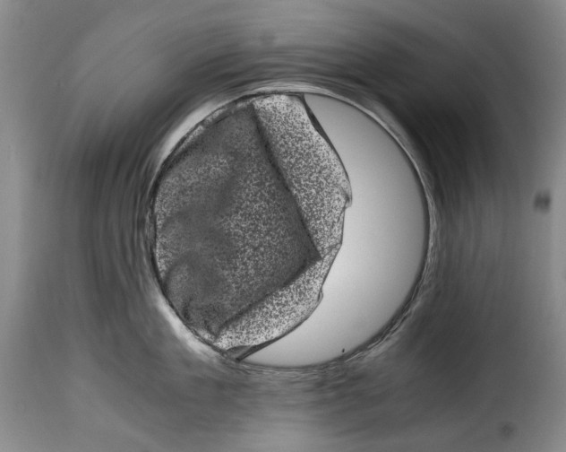 X0000115370909200911241237
