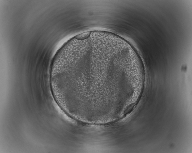 X0000115370910200911241237