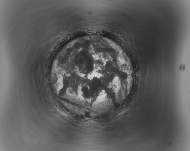 X0000115370913200911241236