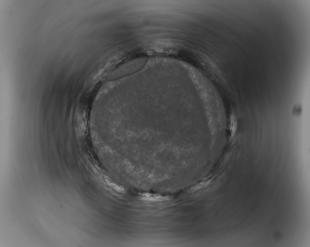 X0000115370915200911241236