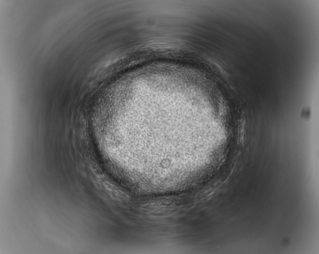 X0000115370917200911241236