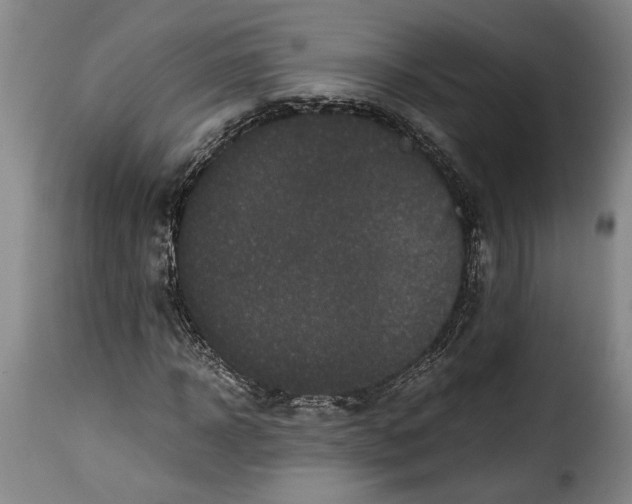 X0000115370918200911241236