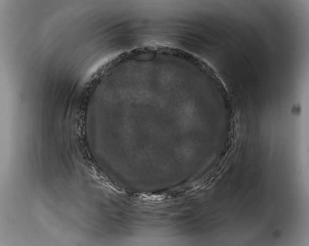 X0000115370919200911241236
