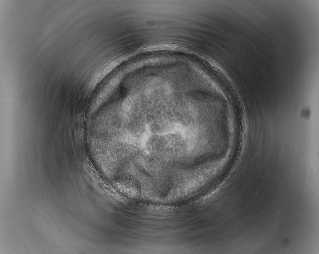X0000115370921200911241236