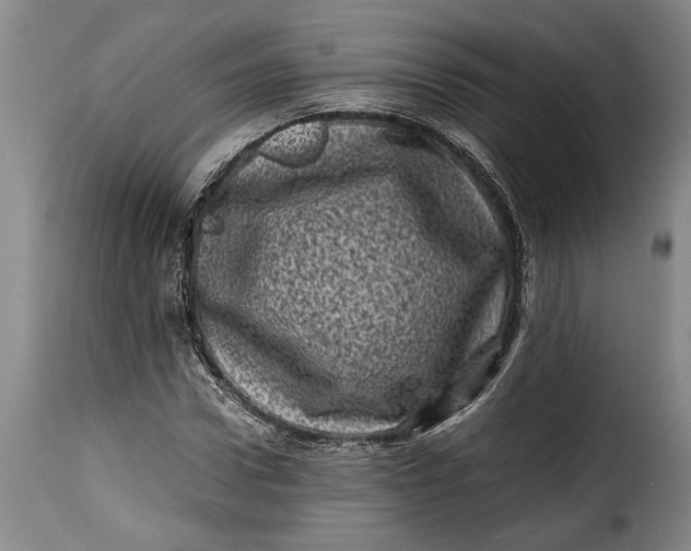 X0000115370922200911241236