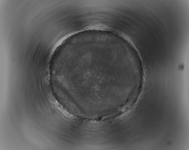X0000115370923200911241236