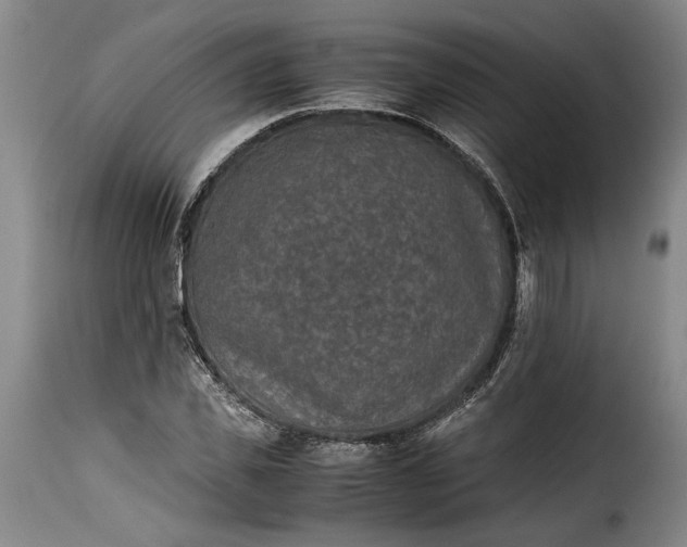 X0000115370925200911241237