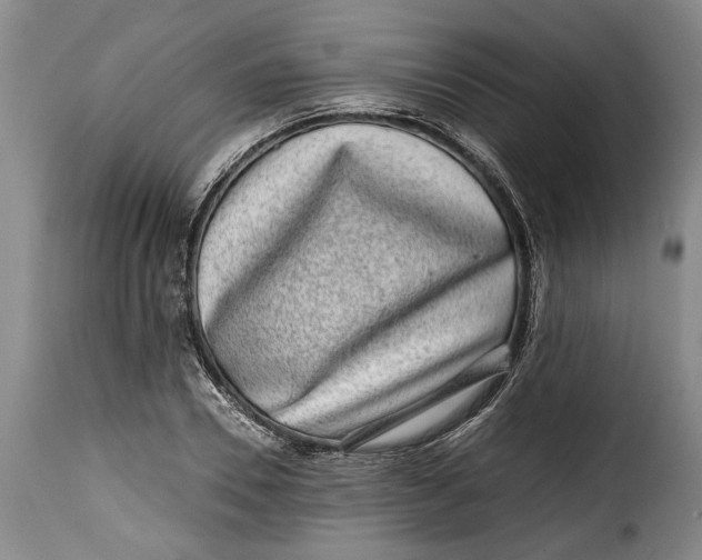 X0000115370930200911241237