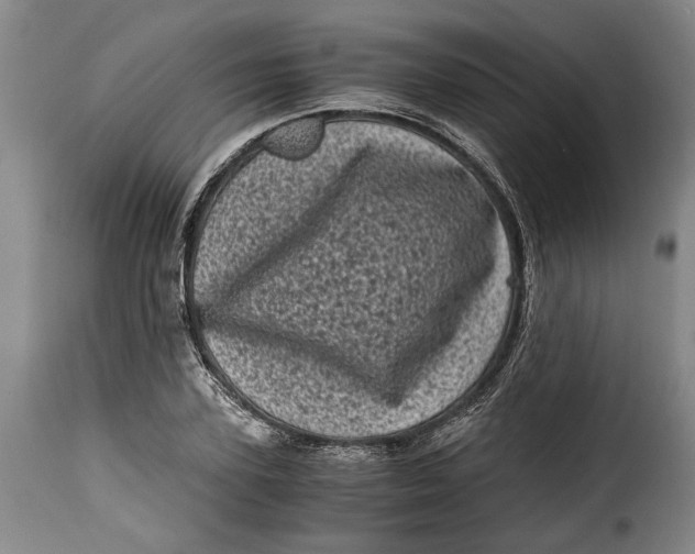 X0000115370931200911241237