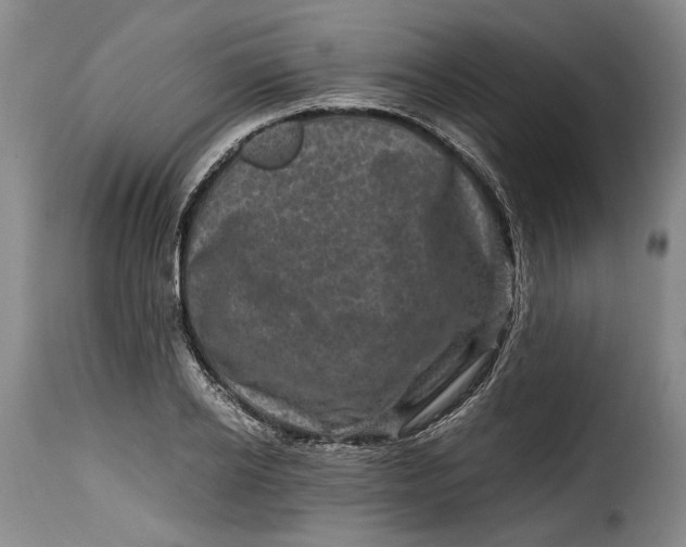 X0000115370934200911241237