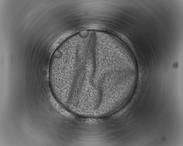X0000115370938200911241237