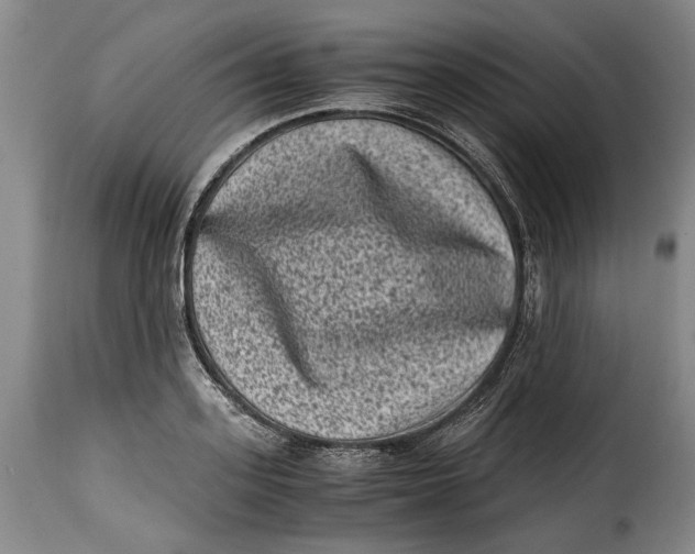 X0000115370939200911241237