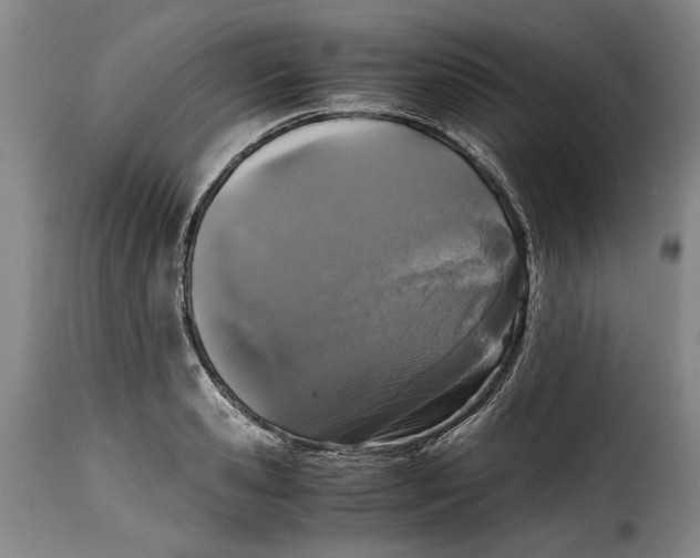 X0000115370941200911241237