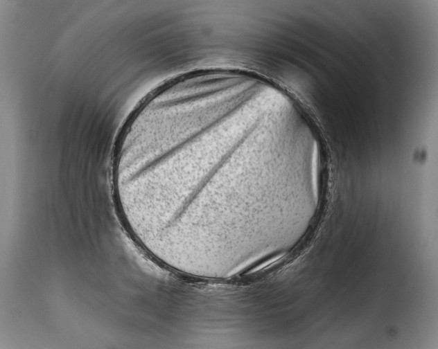 X0000115370942200911241237