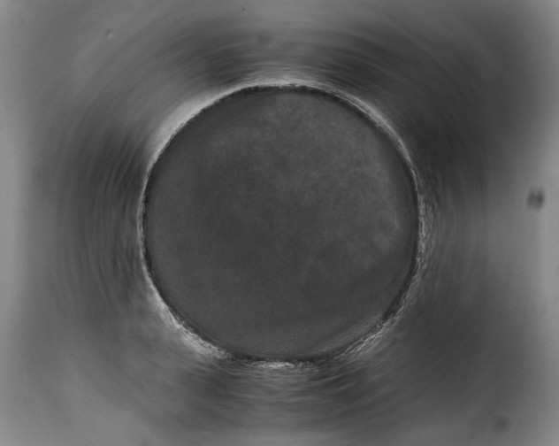X0000115370943200911241237