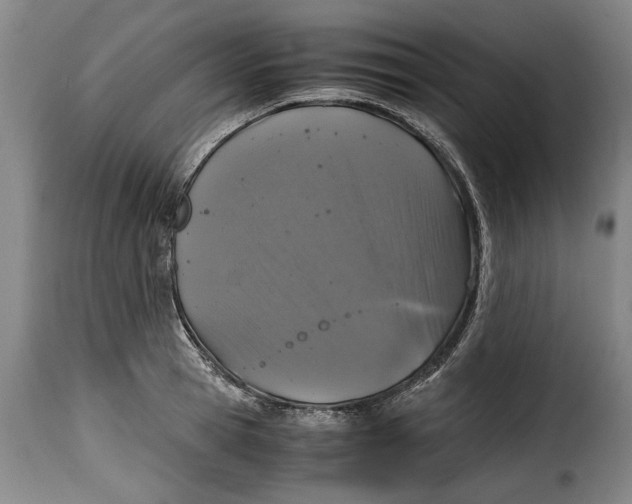 X0000115370945200911241237