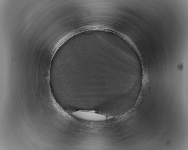 X0000115370946200911241237
